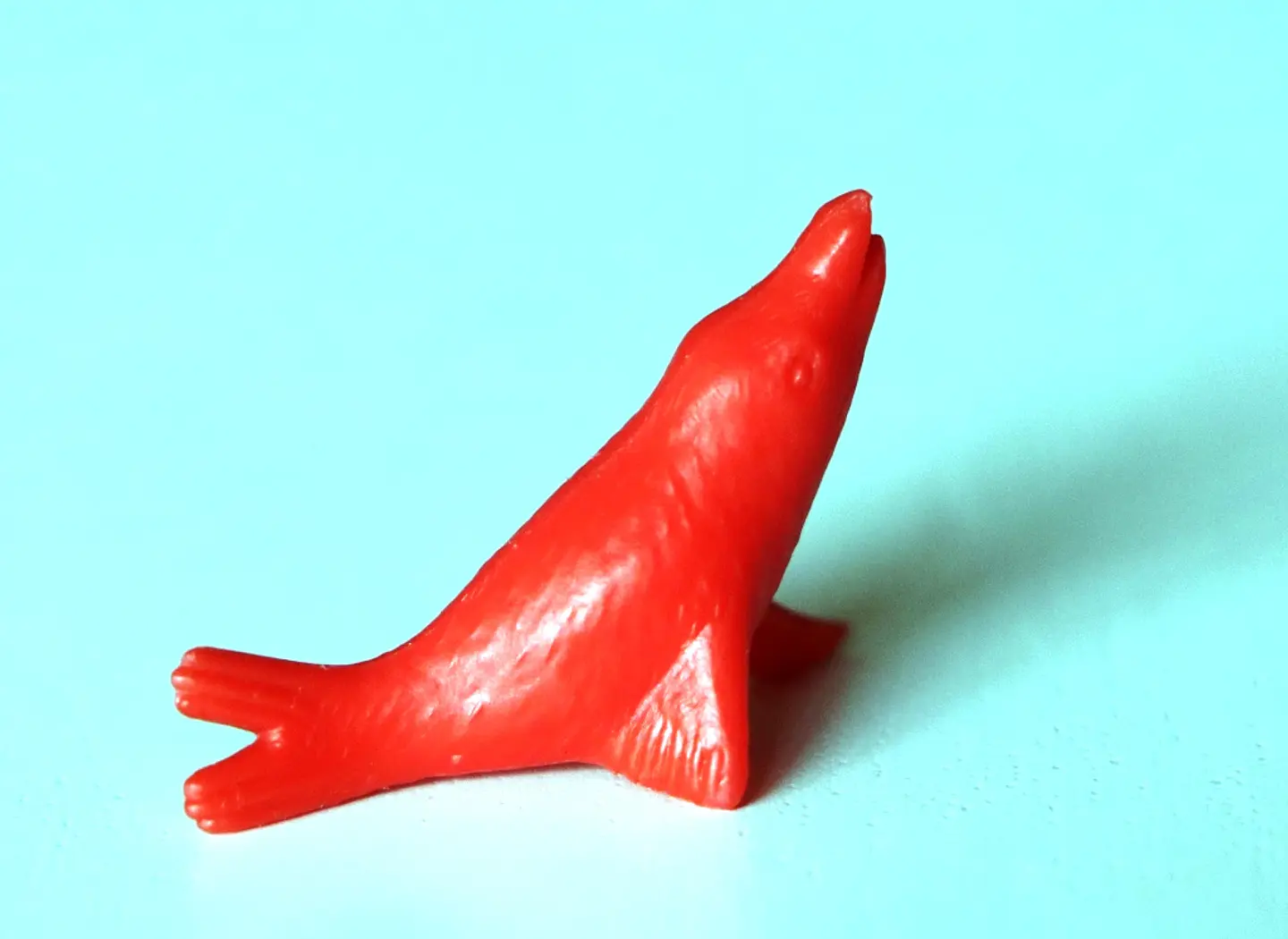 Foca 2 2