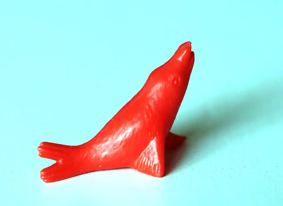 Foca 2 2