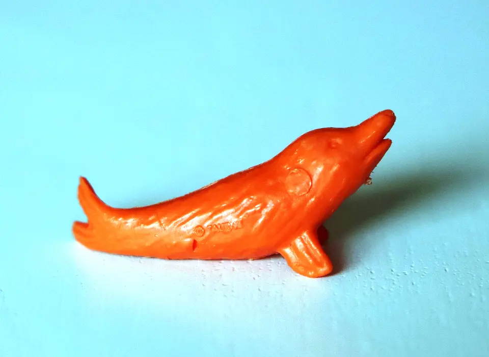 Foca 1 2