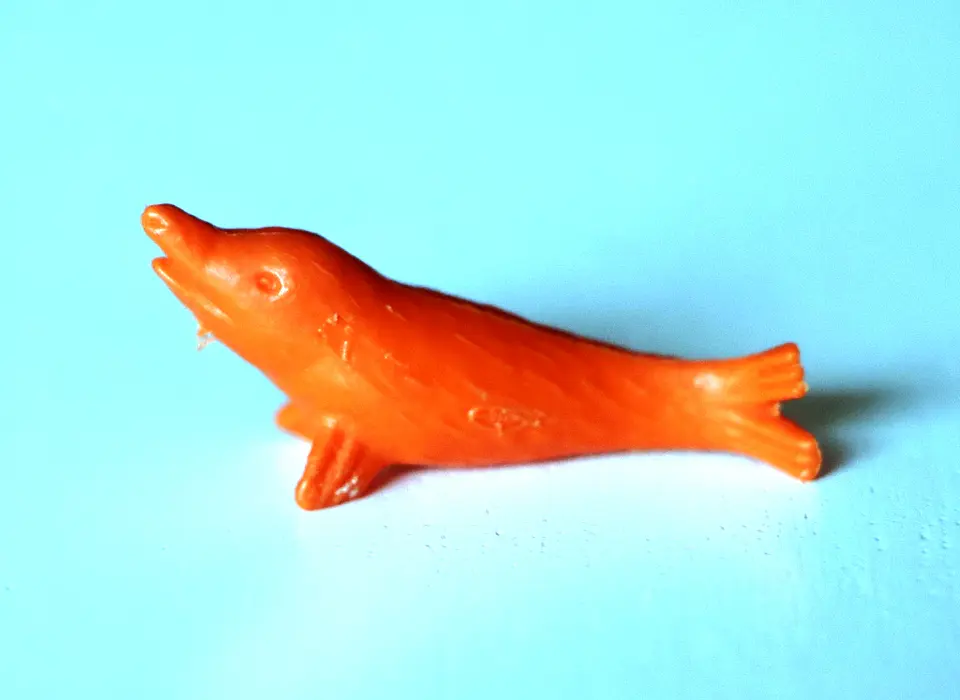 Foca 1 1