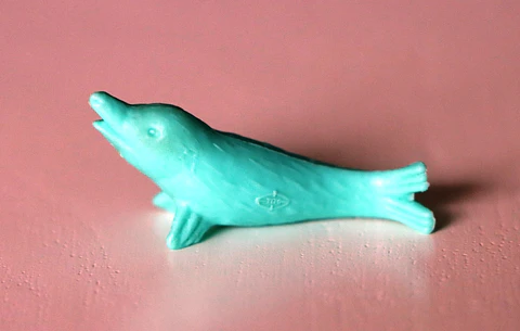 Foca 1