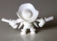 Yosemite Sam - thumbnail 2