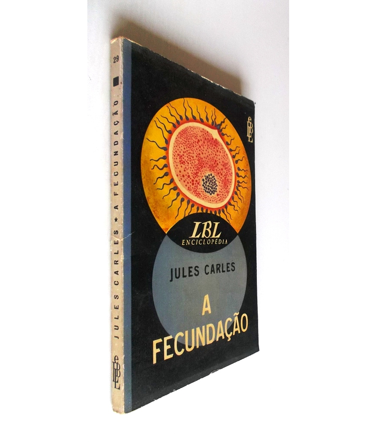 A Fecundação