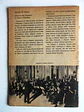 Boletim Informativo 11 - serie II - Thumbnail 2