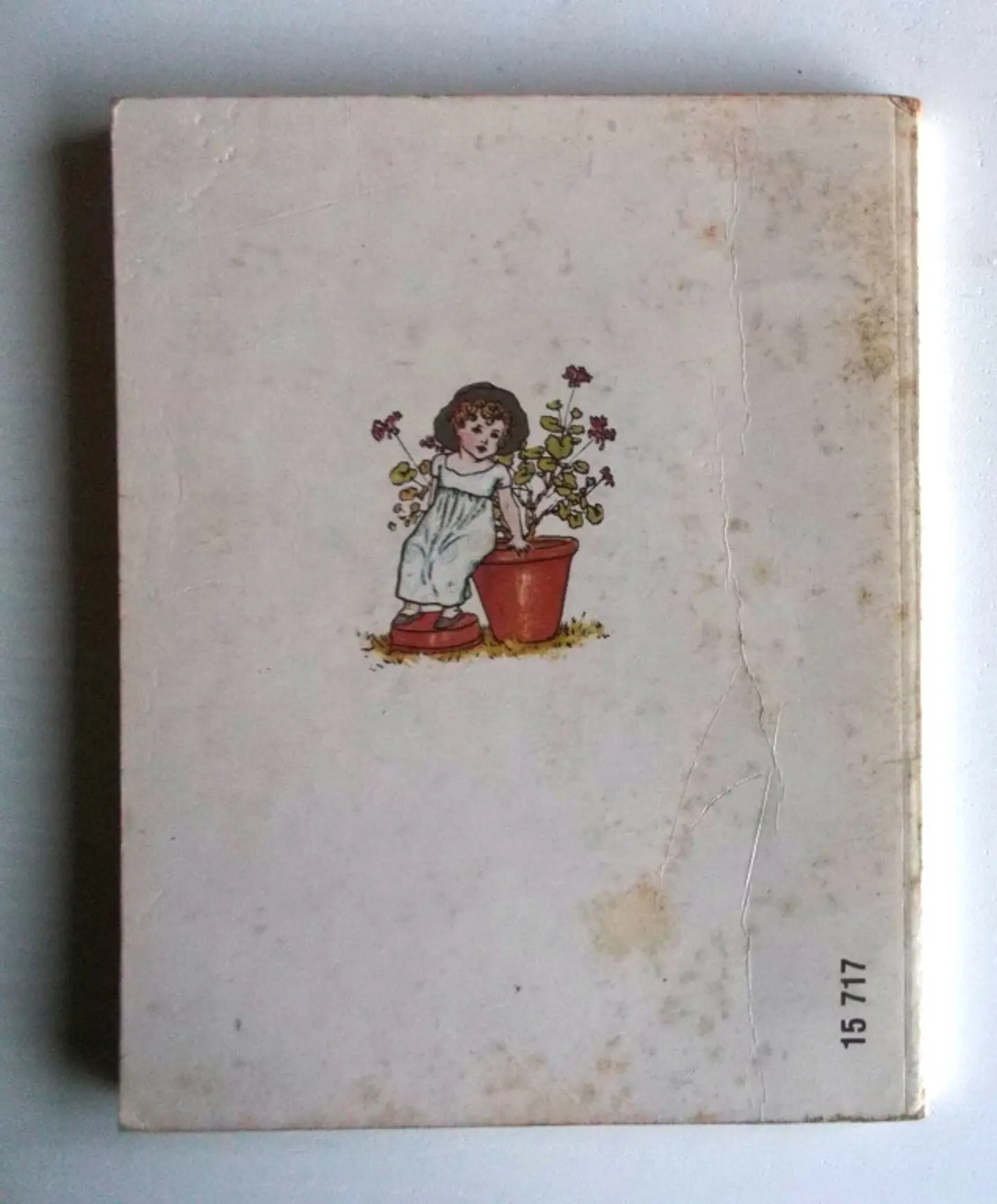 A Linguagem das flores 2