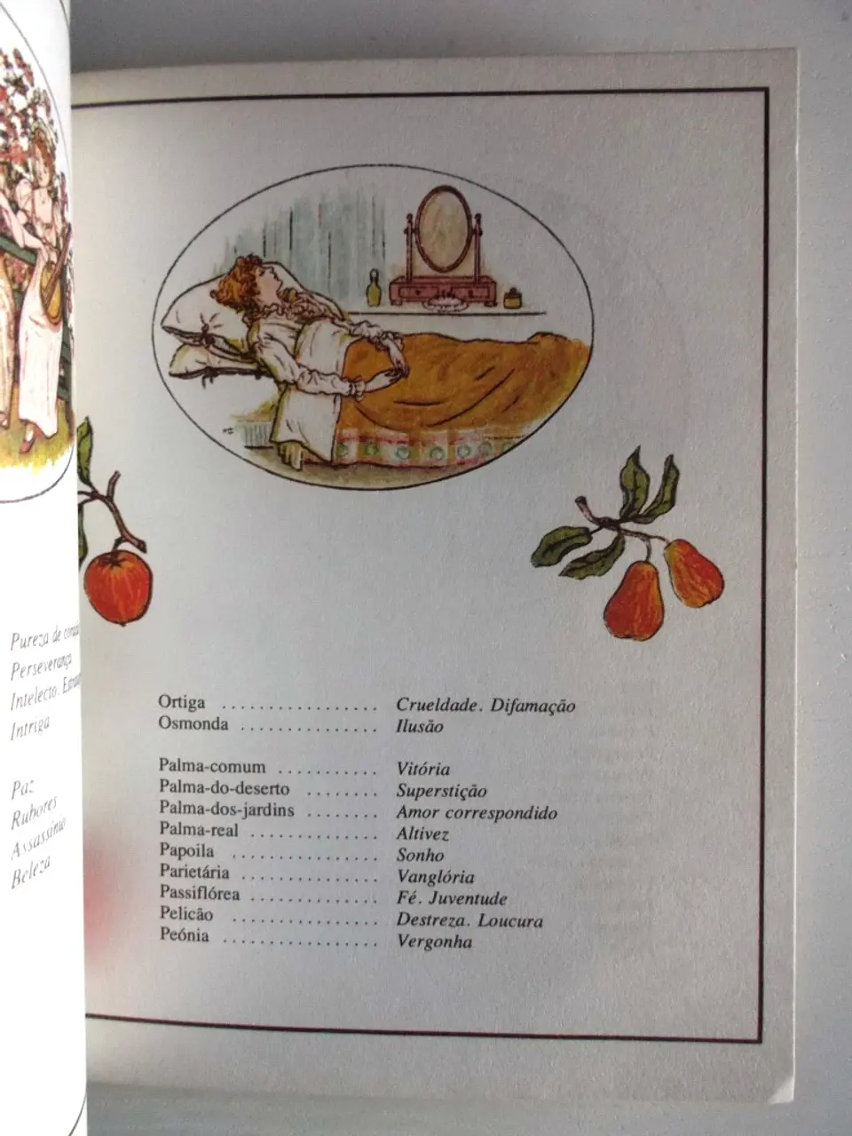 A Linguagem das flores 4