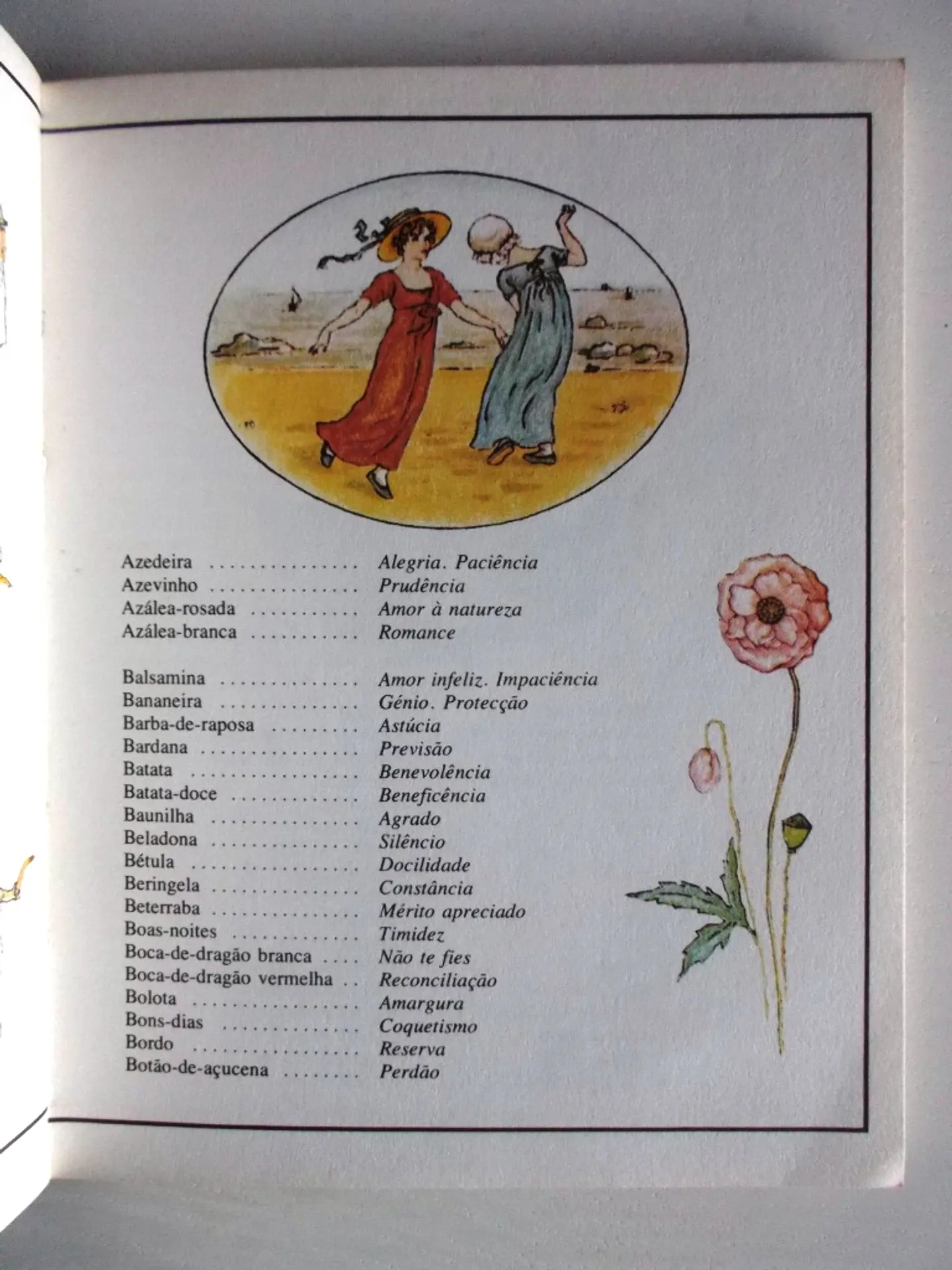 A Linguagem das flores 5
