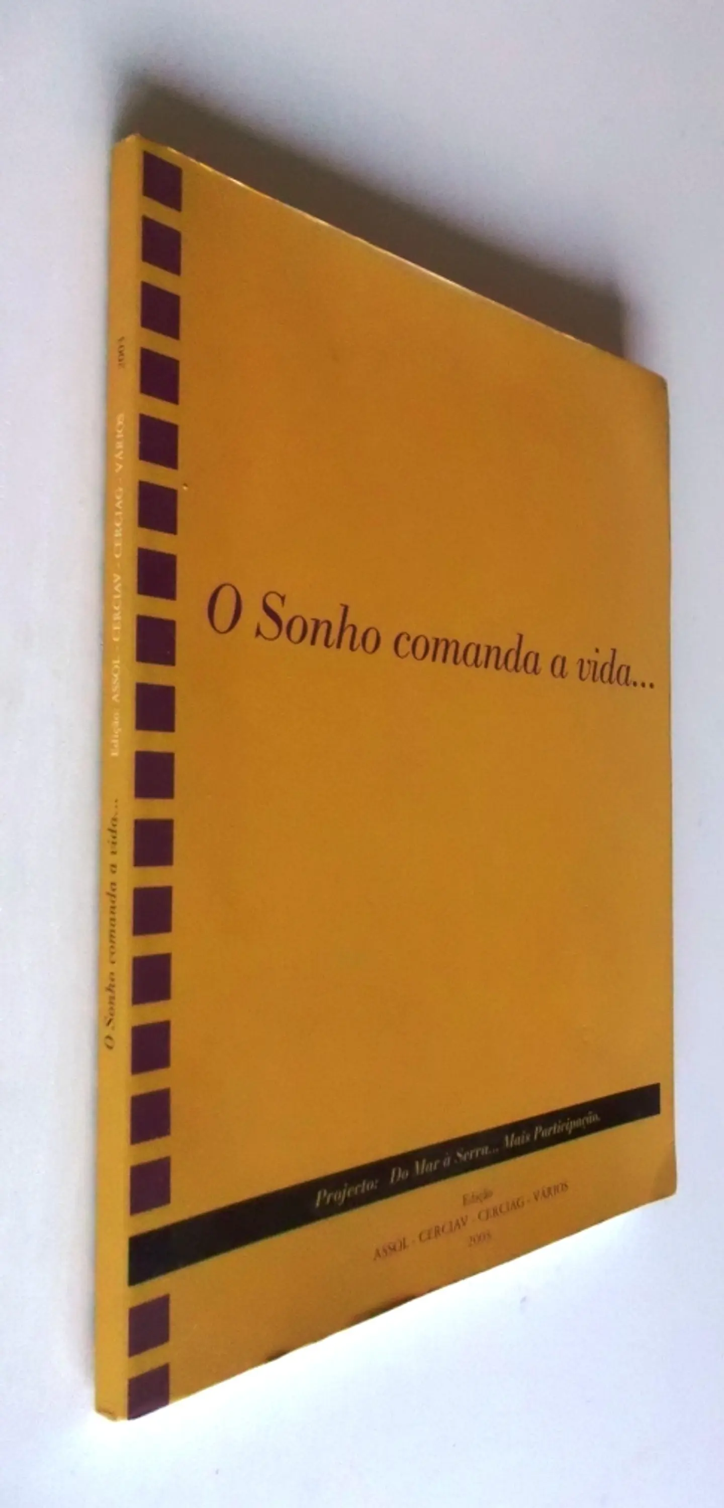 O Sonho comanda a vida... 2