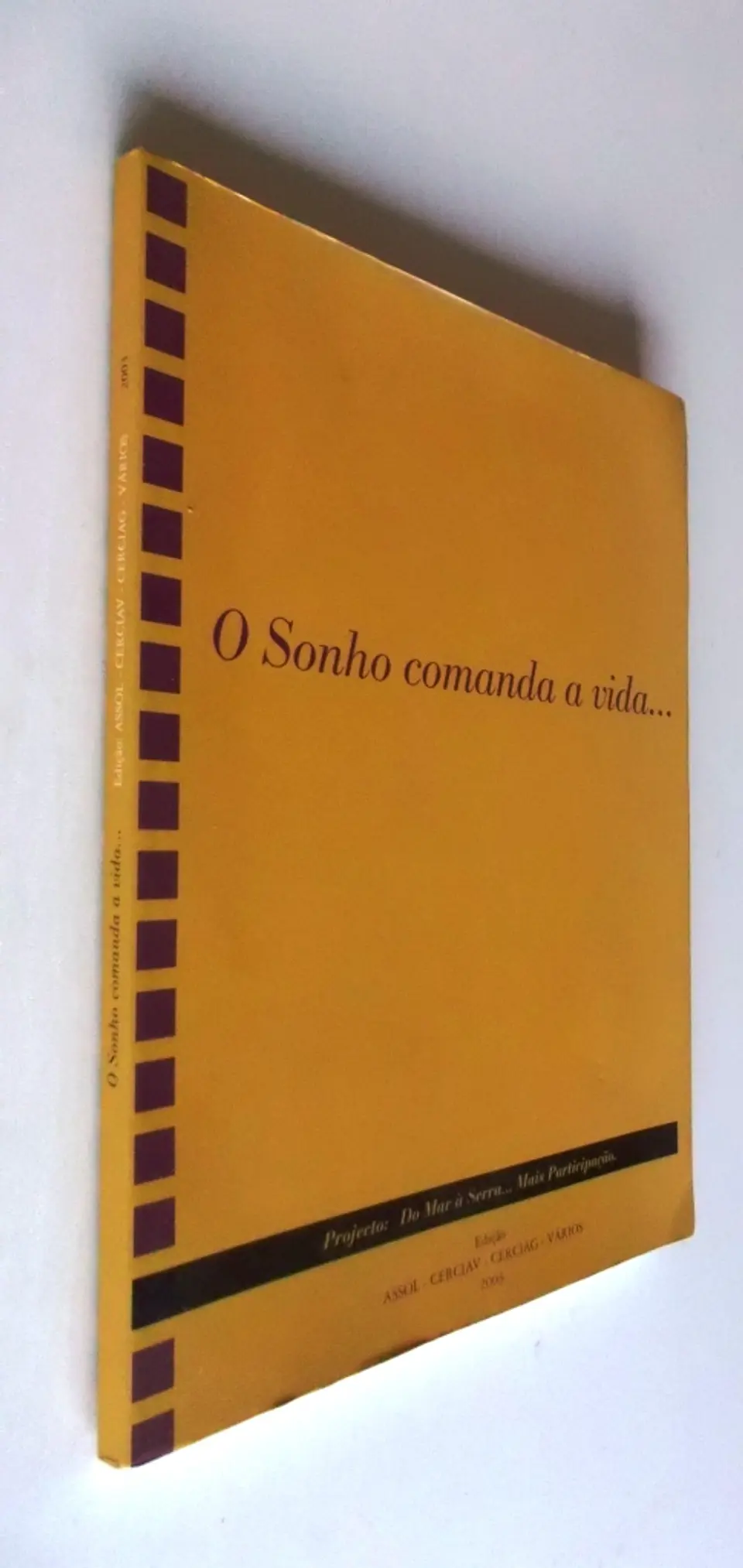 O Sonho comanda a vida... 2