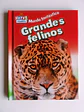 Mundo Fantástico - Grandes felinos - thumbnail 1