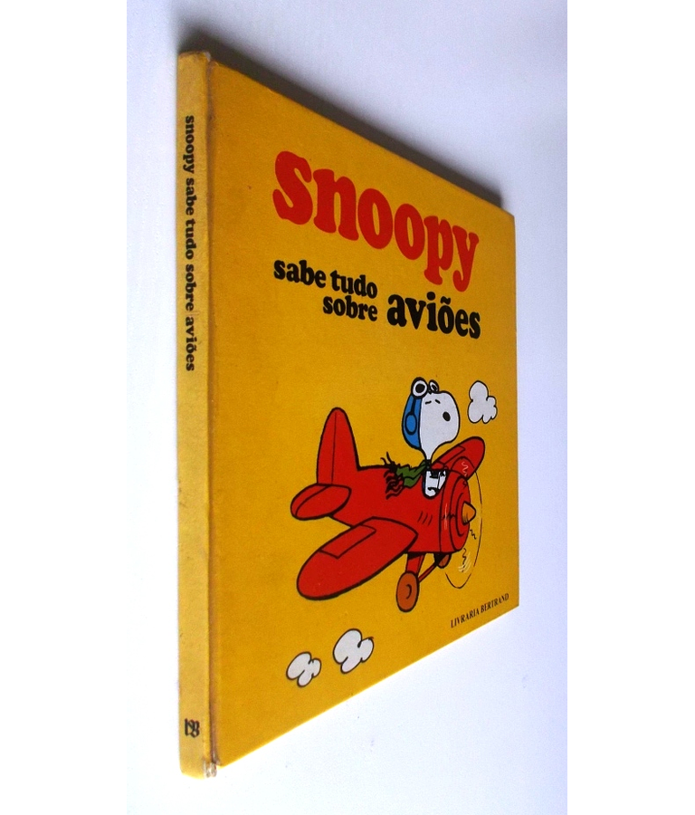 Snoopy - Sabe tudo sobre aviões