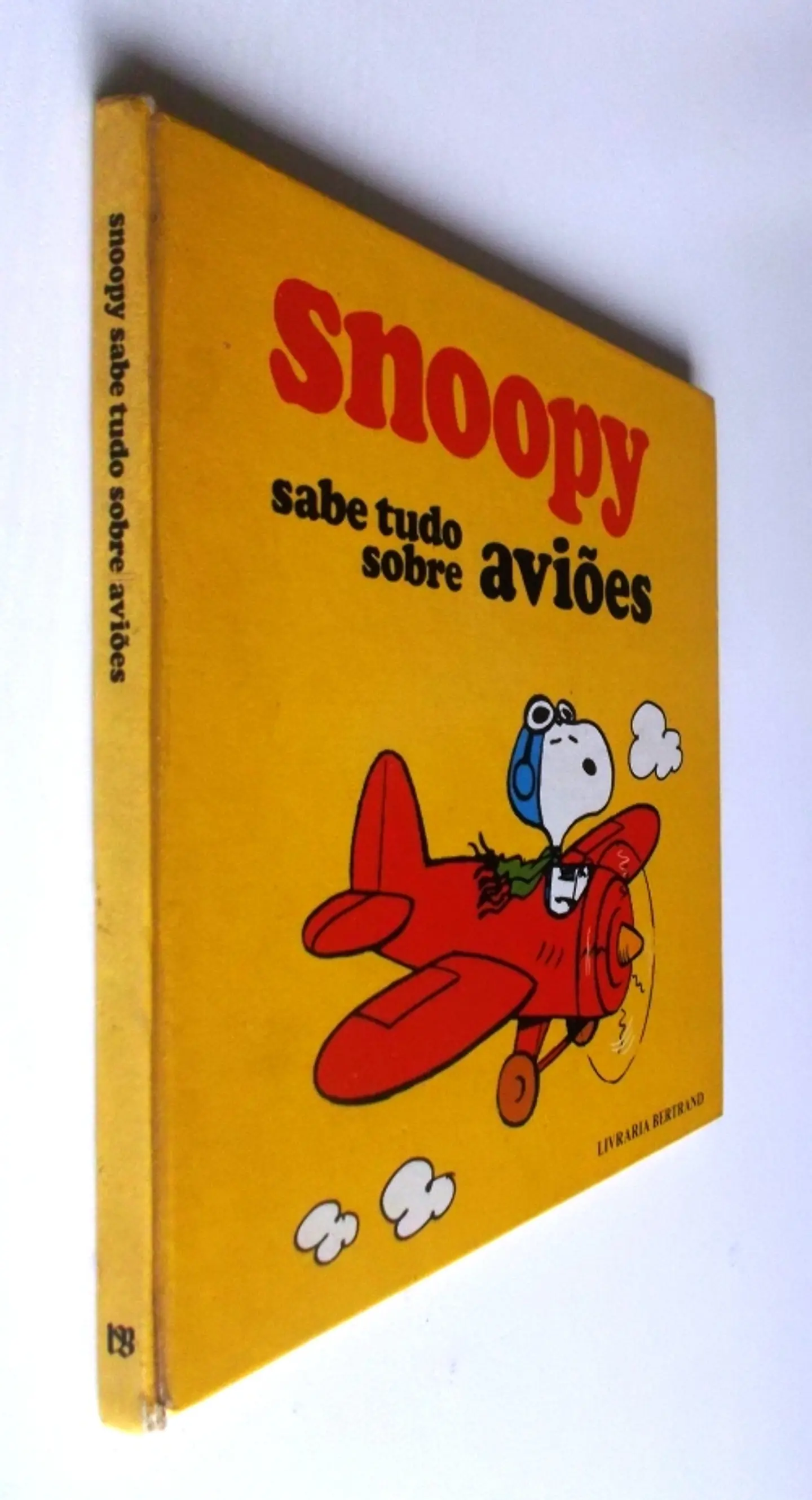 Snoopy - Sabe tudo sobre aviões 3