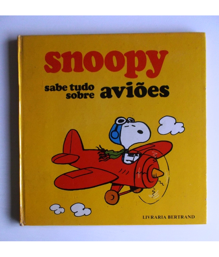 Snoopy - Sabe tudo sobre aviões