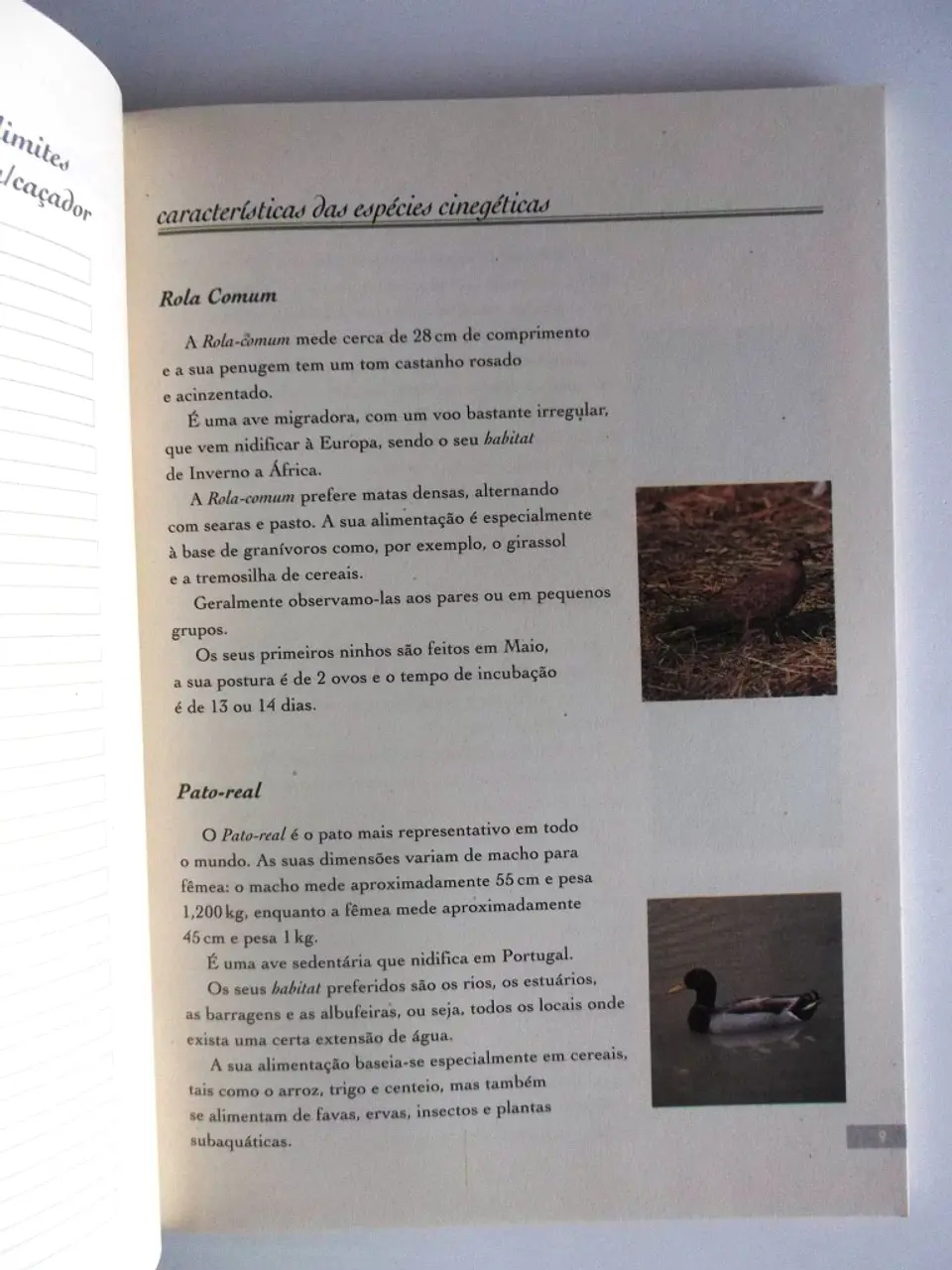 My hunting book 8