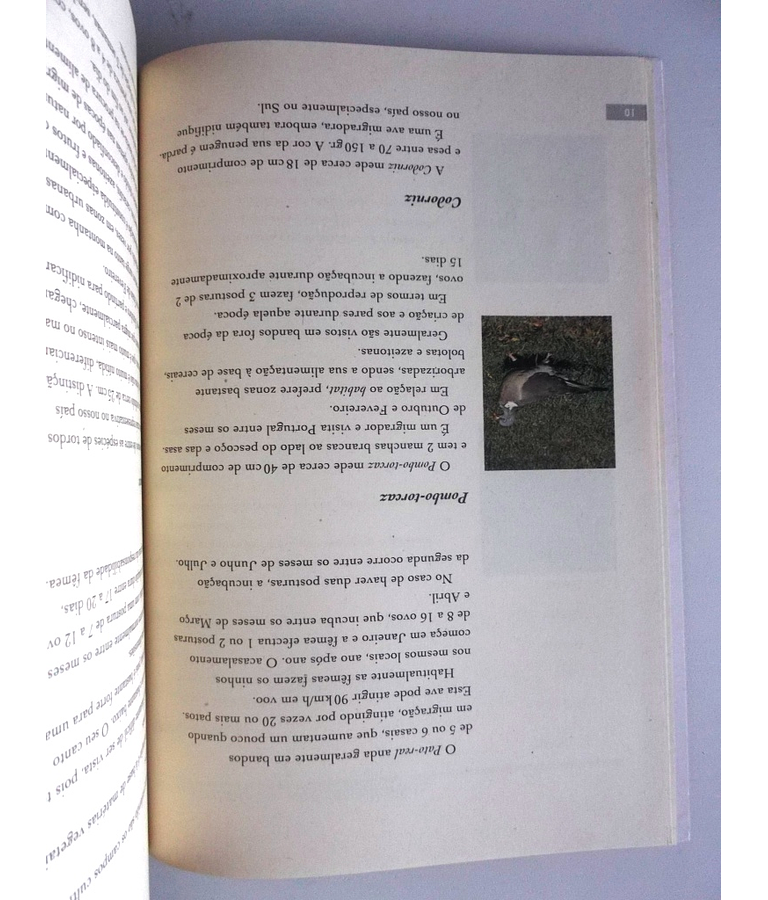 O meu livro de caça