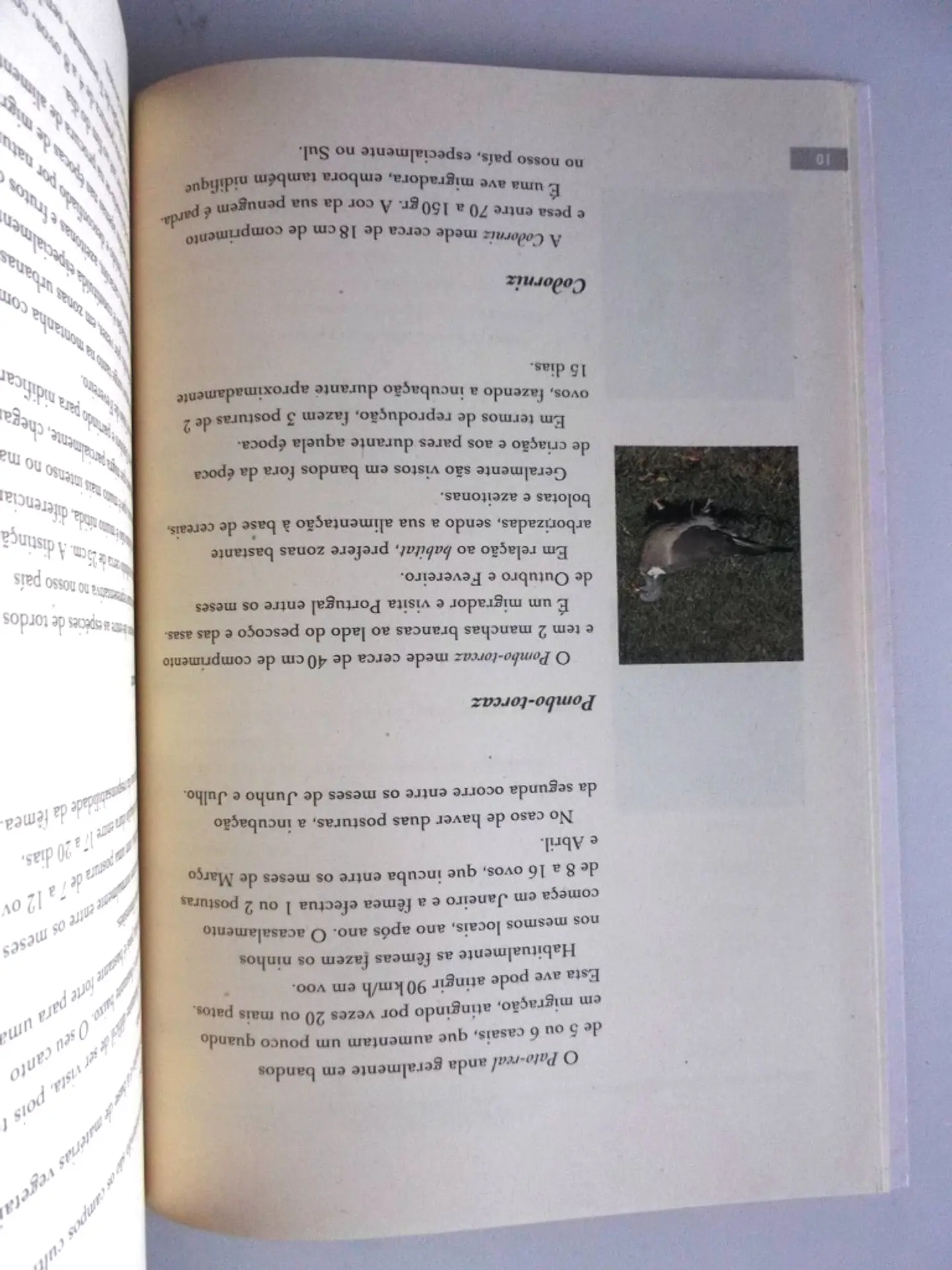 My hunting book 9