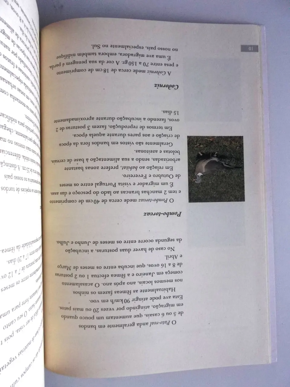 My hunting book 9