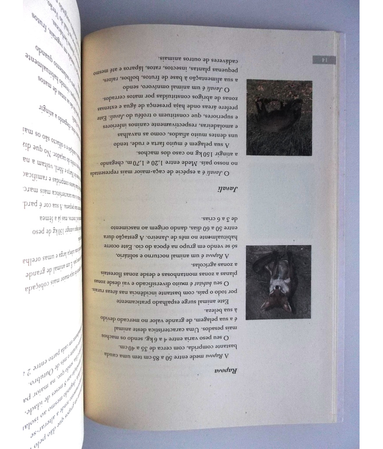 O meu livro de caça