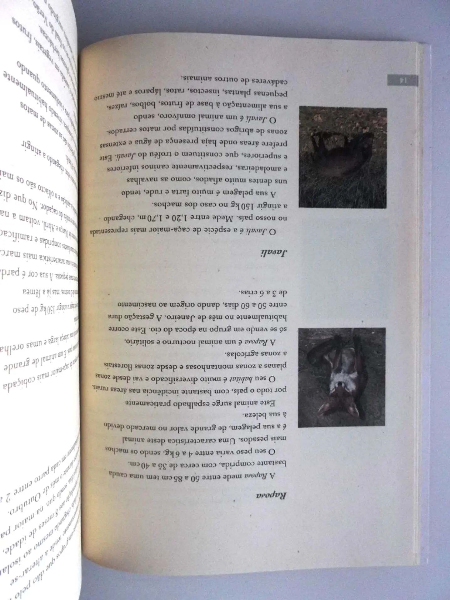 My hunting book 11