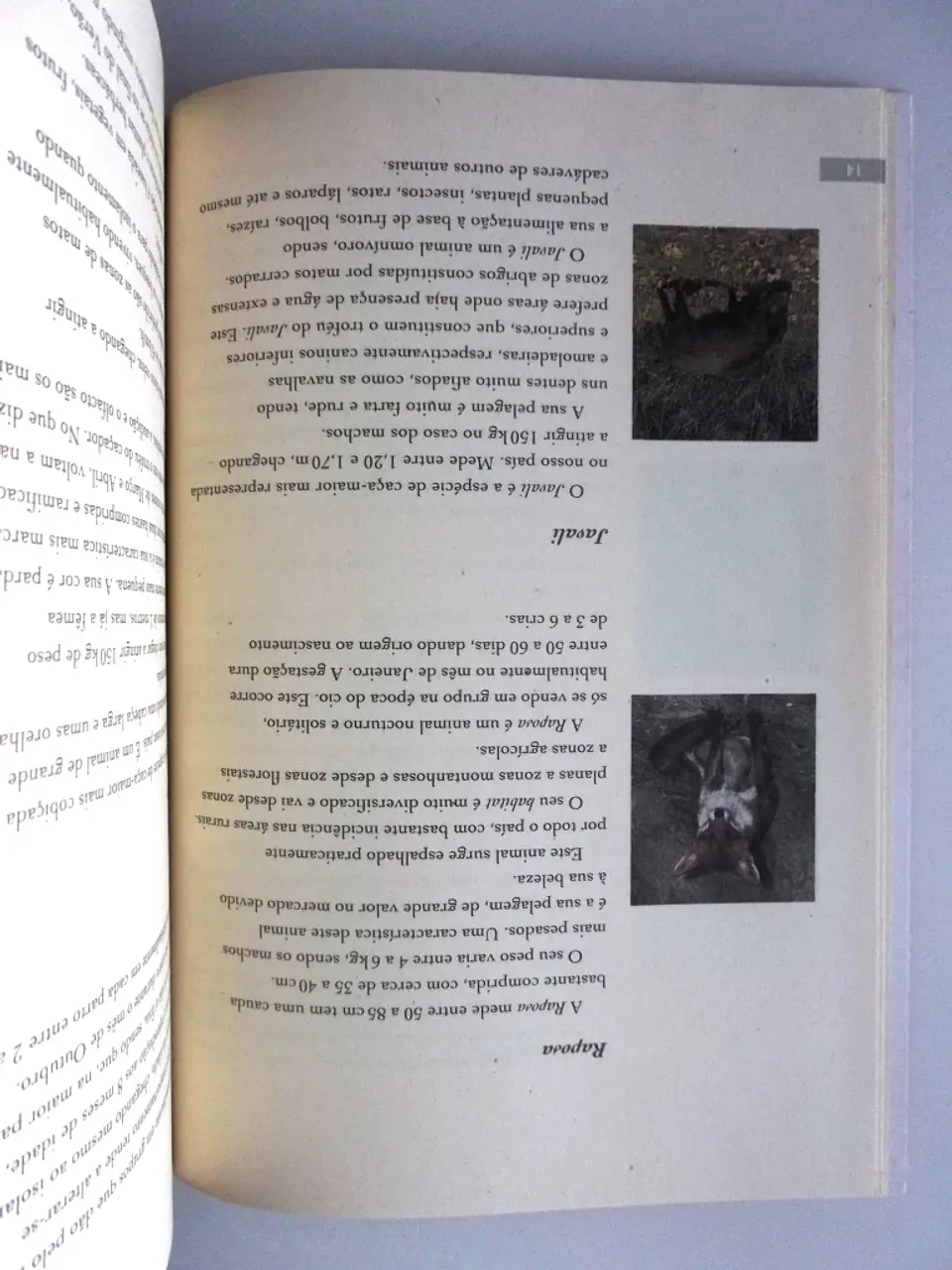 My hunting book 11