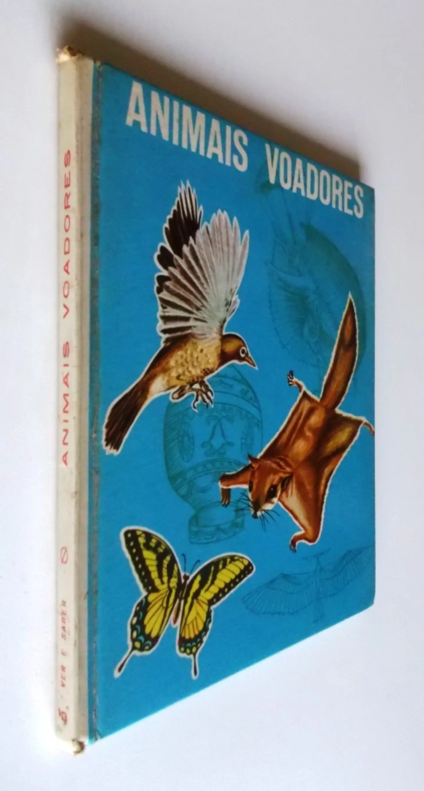 Ver e Saber 13 - Animais voadores 2