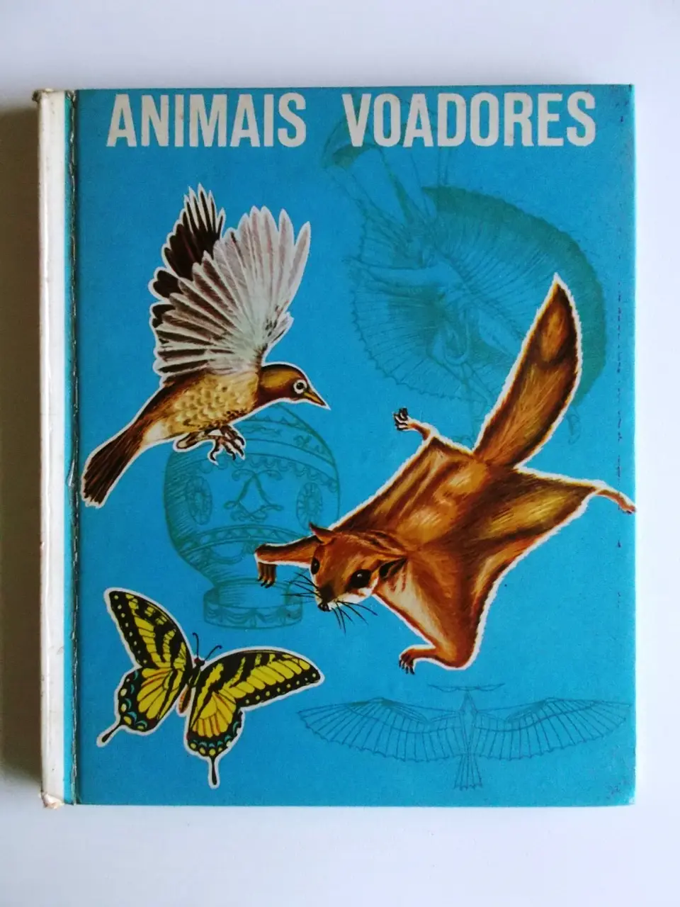 Ver e Saber 13 - Animais voadores 1