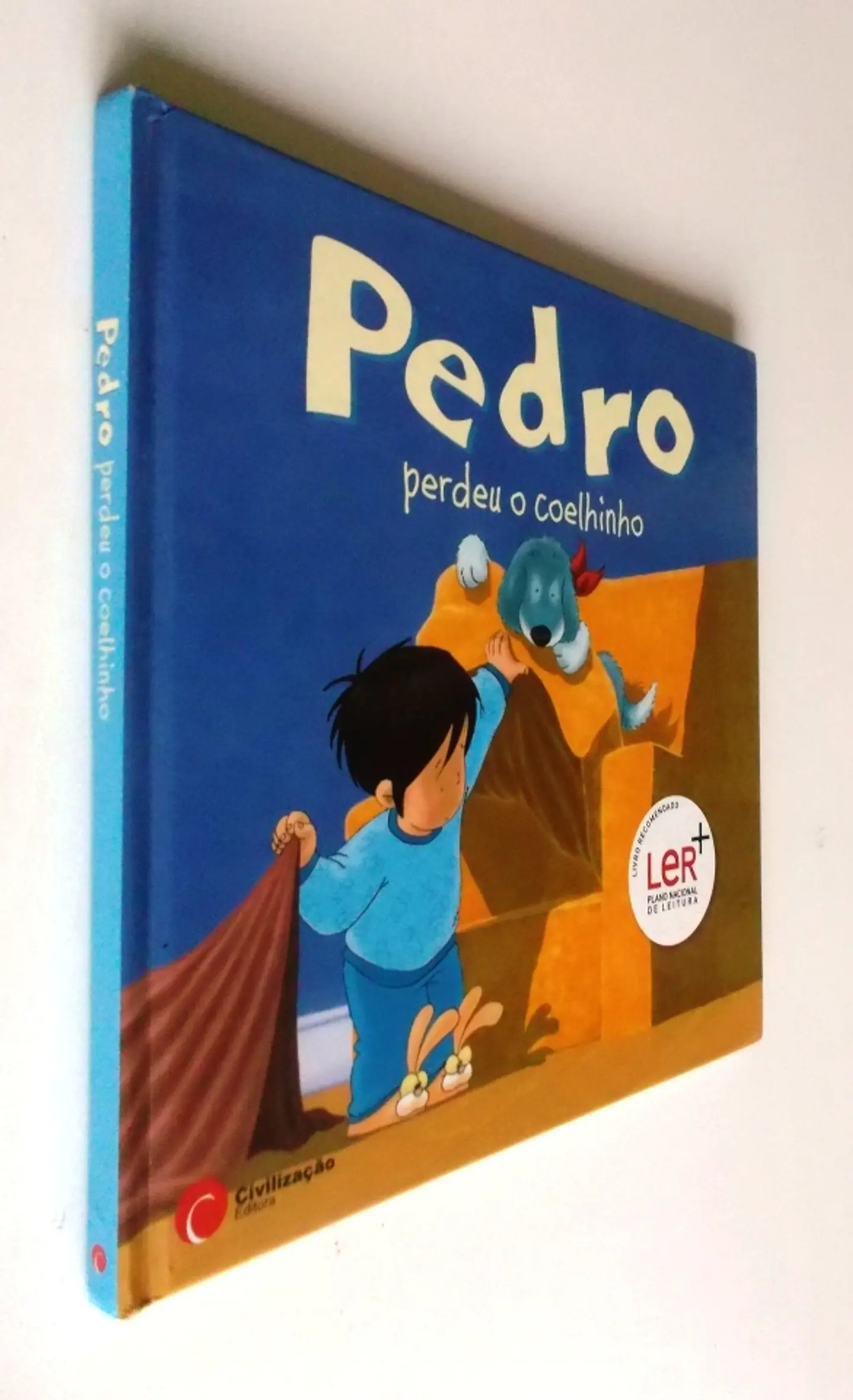 Pedro perdeu o Coelhinho 2