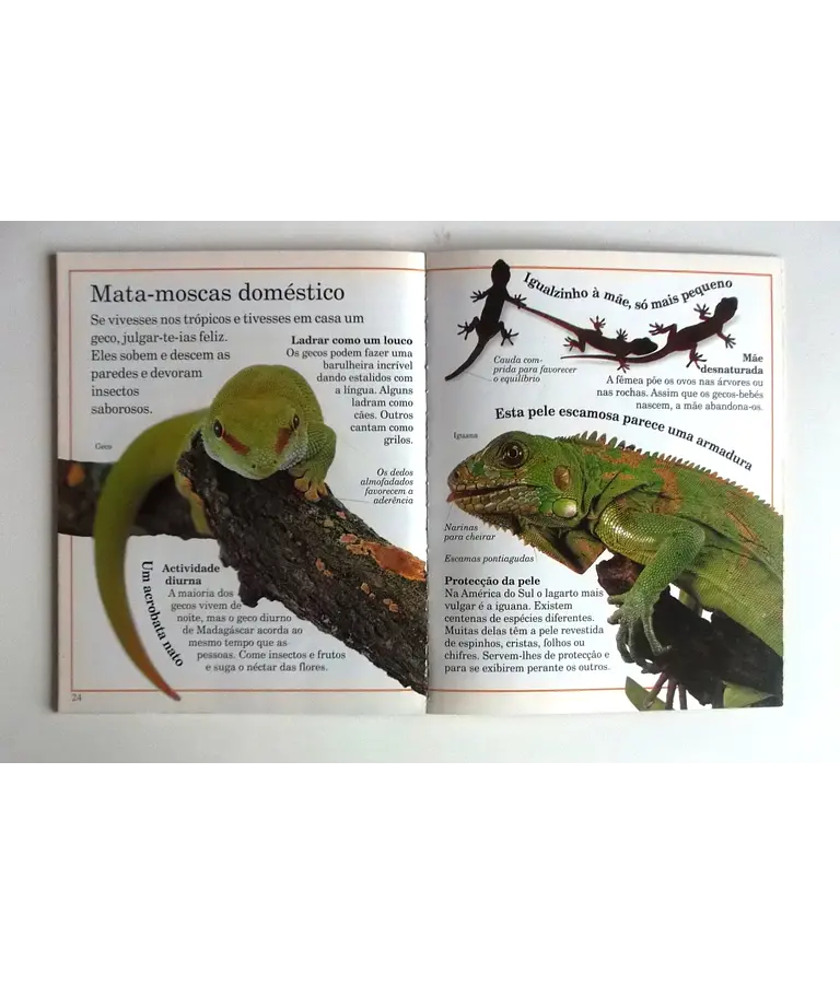 Incríveis pequenos monstros