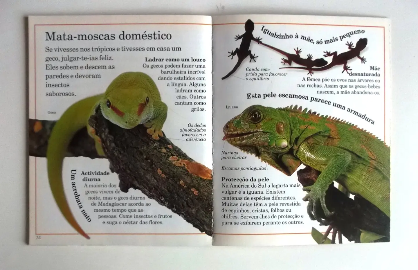 Incríveis pequenos monstros 4