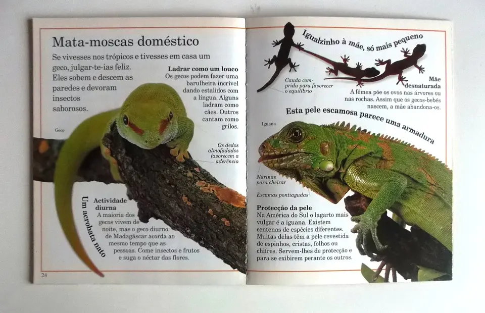 Incríveis pequenos monstros 4