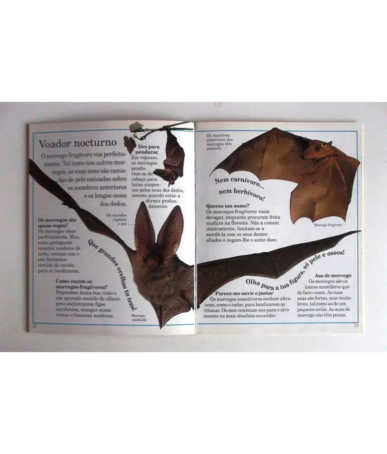 Incríveis pequenos monstros