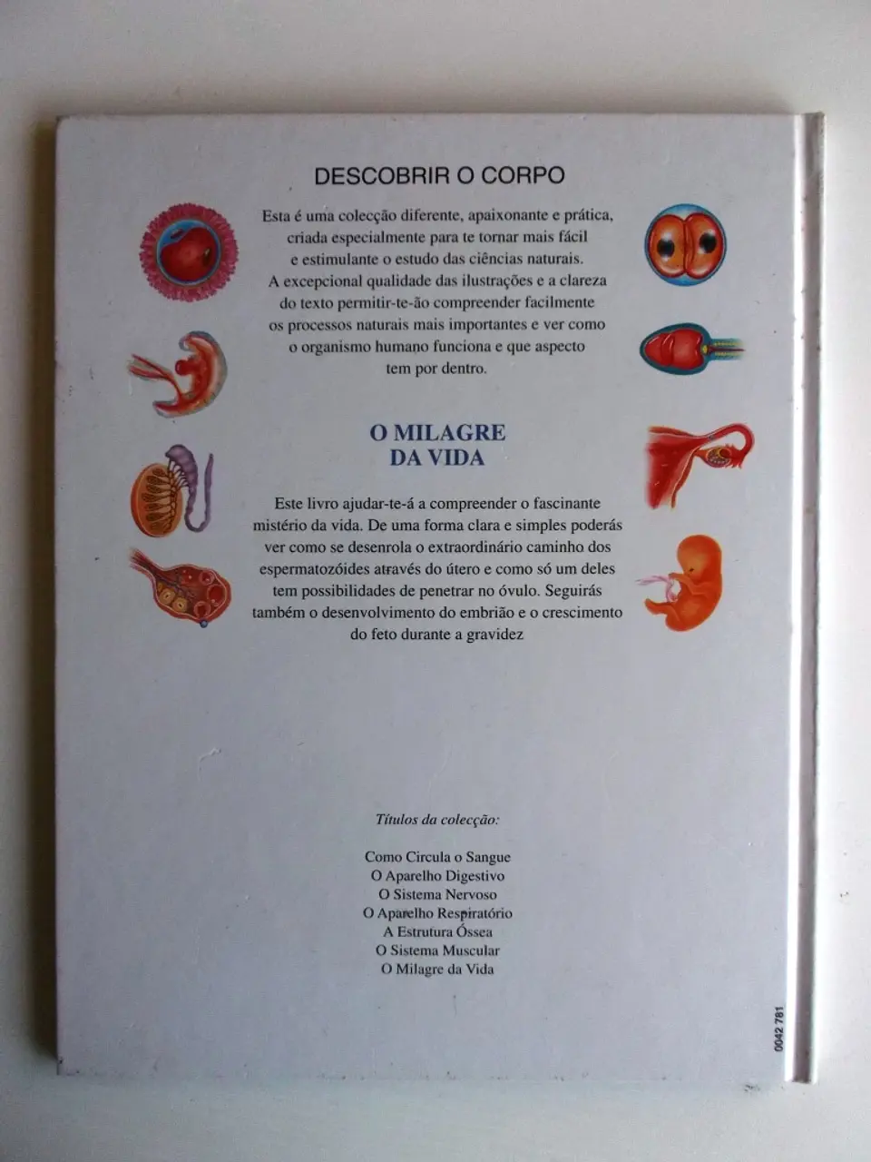 Descobrir o corpo 2
