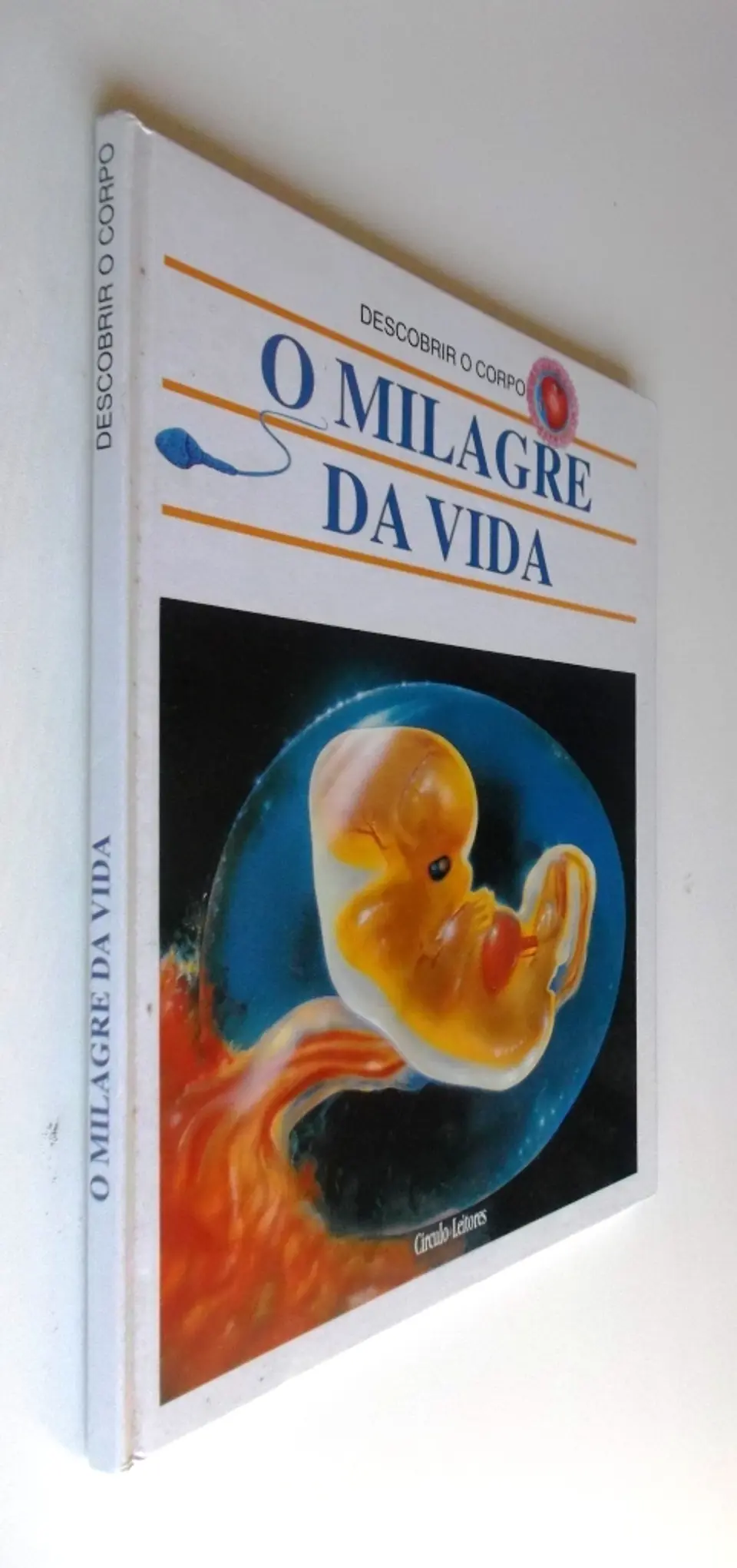 Descobrir o corpo 3