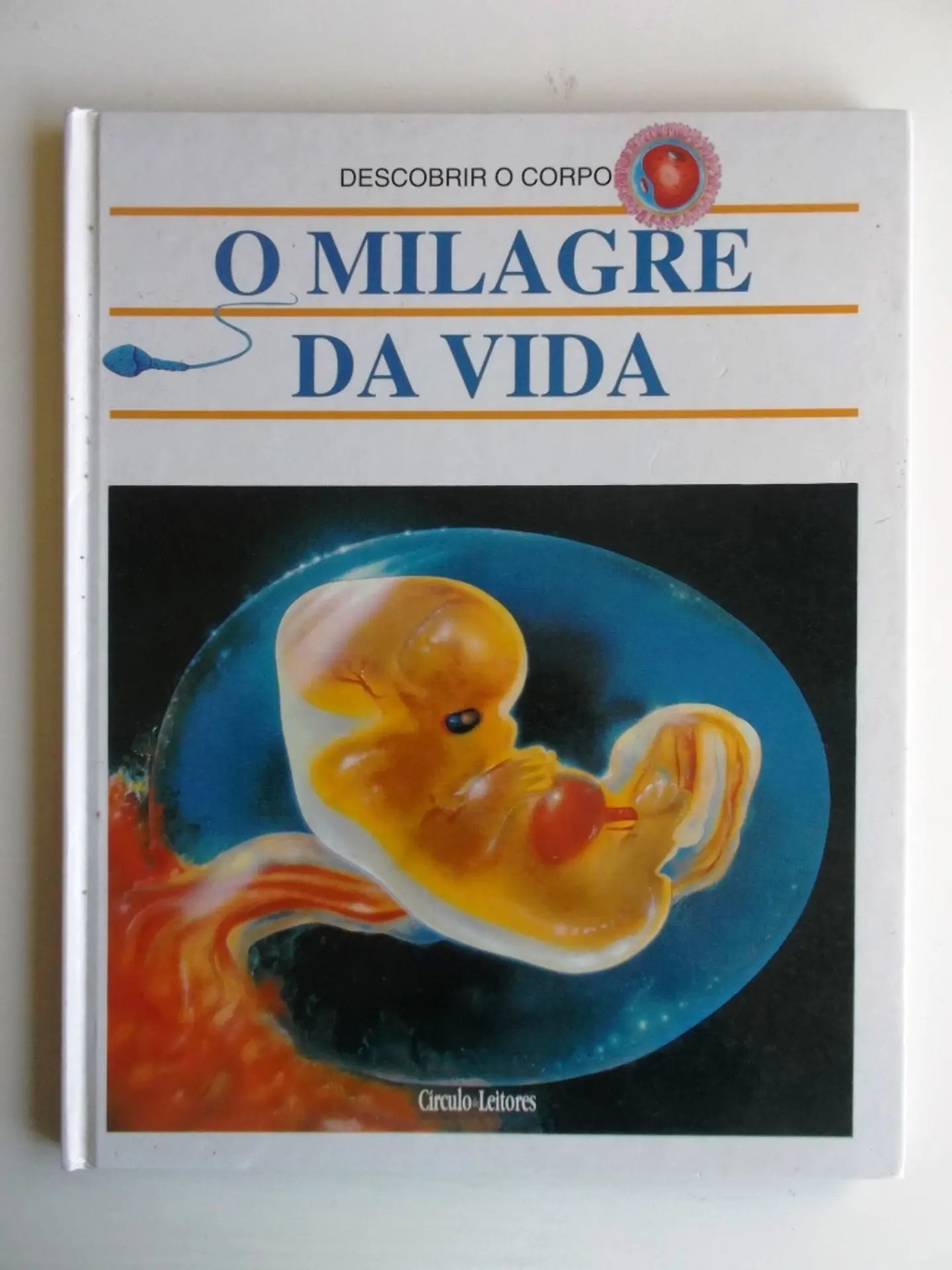 Descobrir o corpo 1