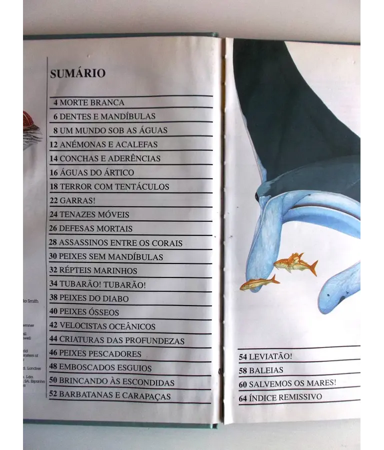 Tubarões e outros monstros marinhos