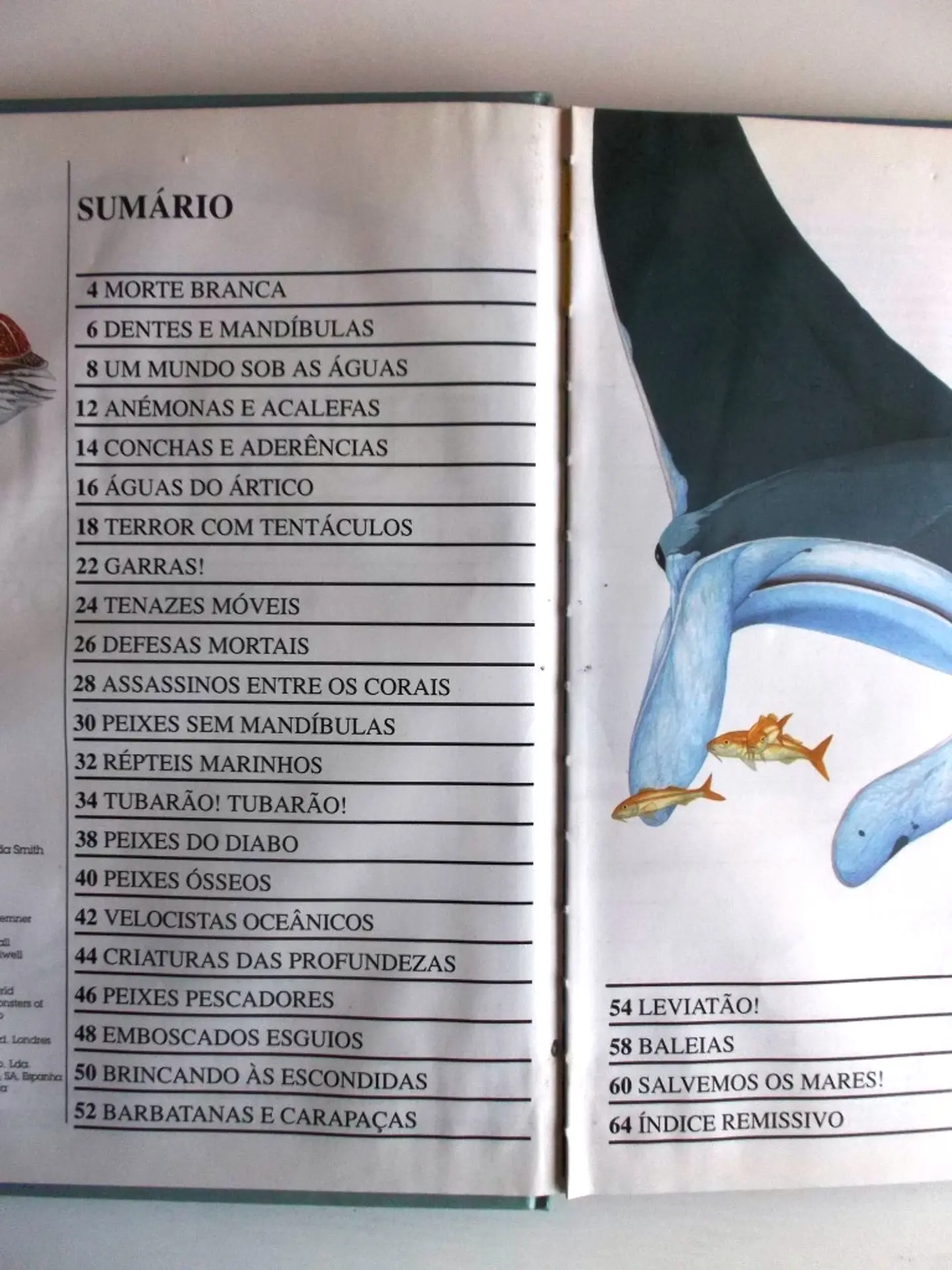 Tubarões e outros monstros marinhos 4