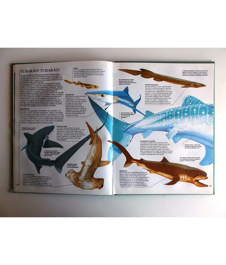 Tubarões e outros monstros marinhos
