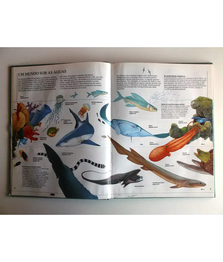 Tubarões e outros monstros marinhos