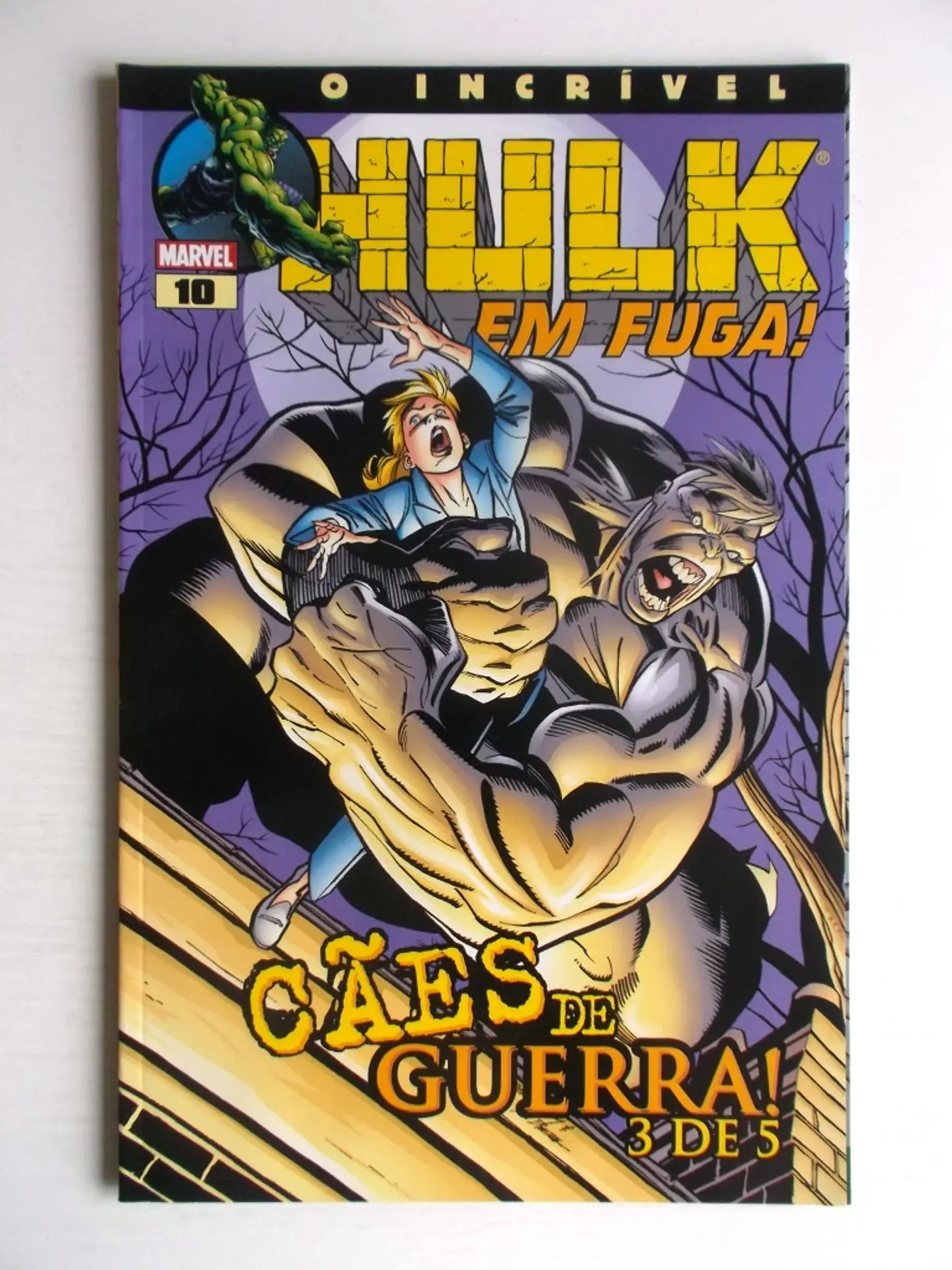 O Incrível Hulk 10 1