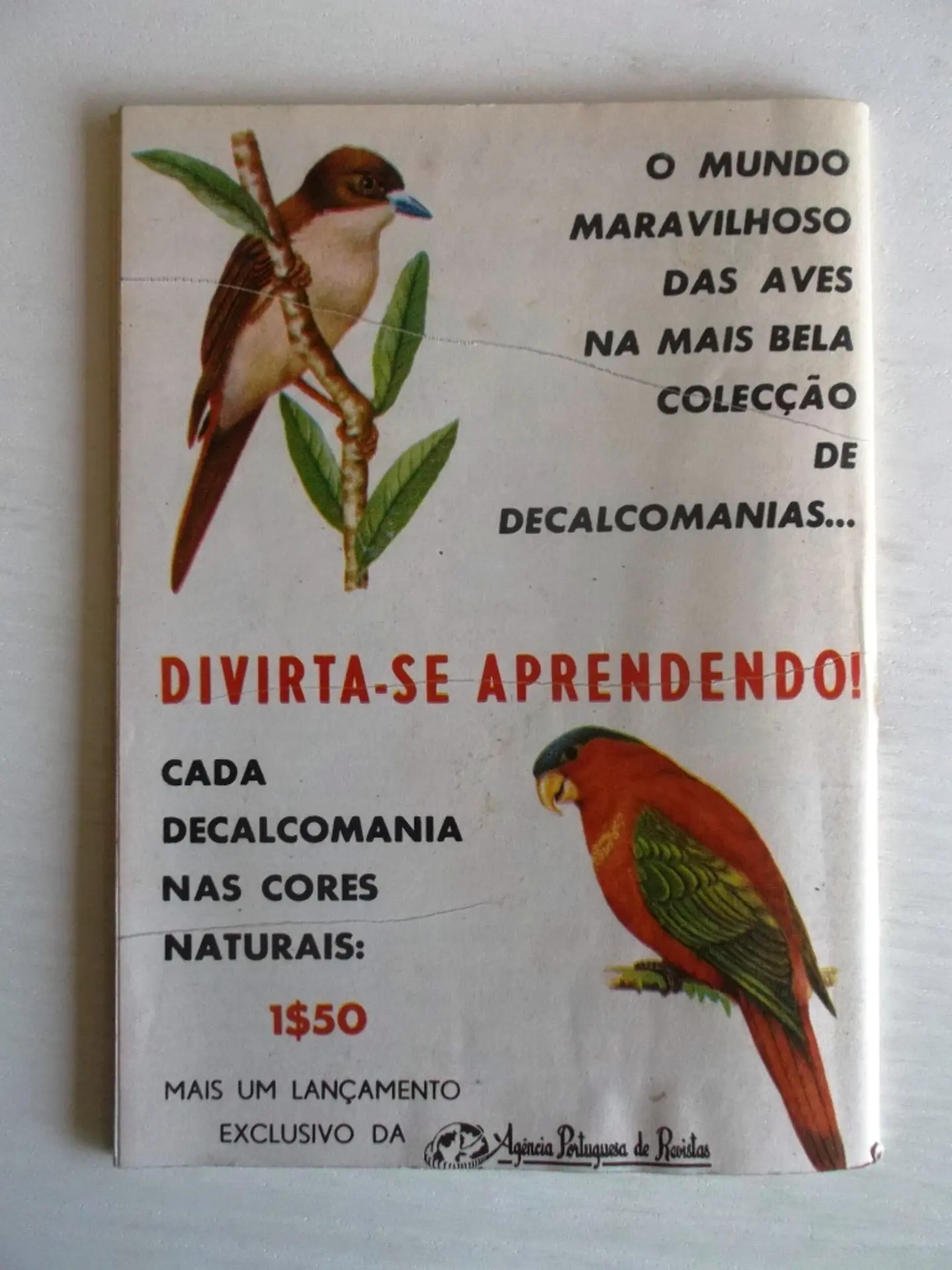 Condor 246 2