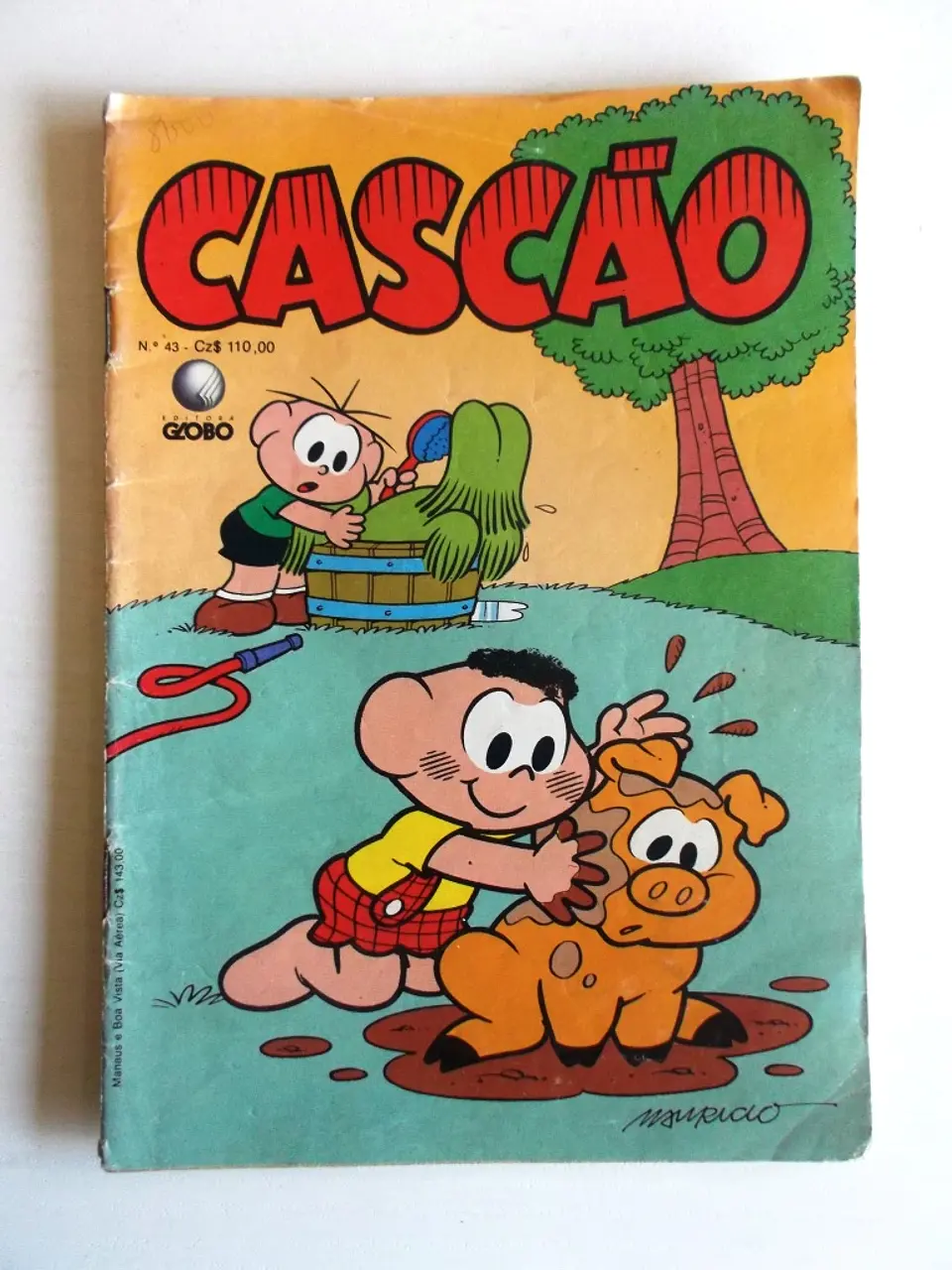 Cascão 043 1