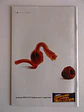 Spider-Girl 27 - thumbnail 2