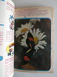 Almanaque Disney 115 - Thumbnail 4