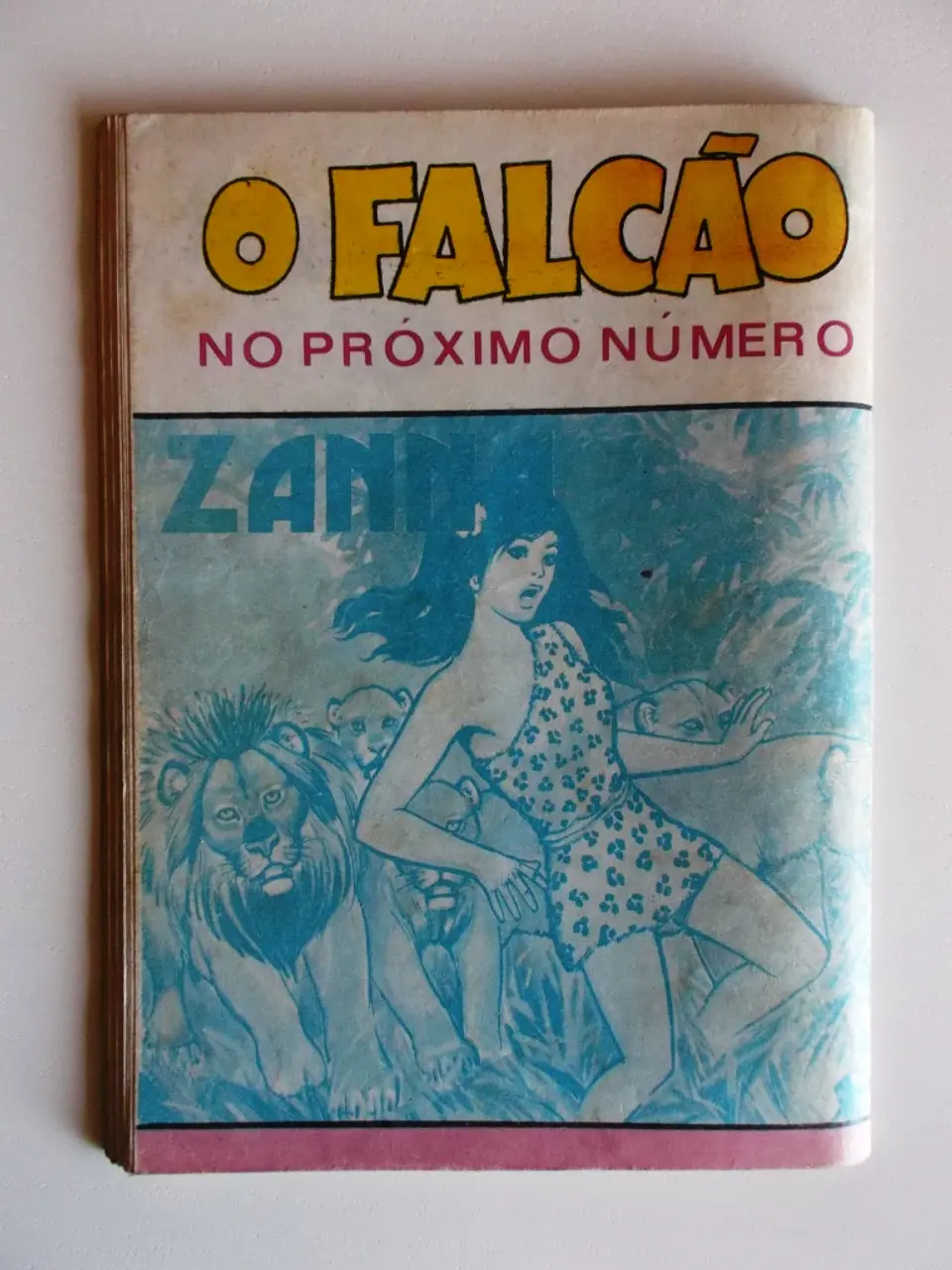 O Falcão 1031 - Caribú 2