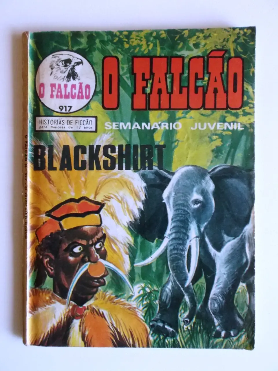 O Falcão 0917 - Blackshirt 1