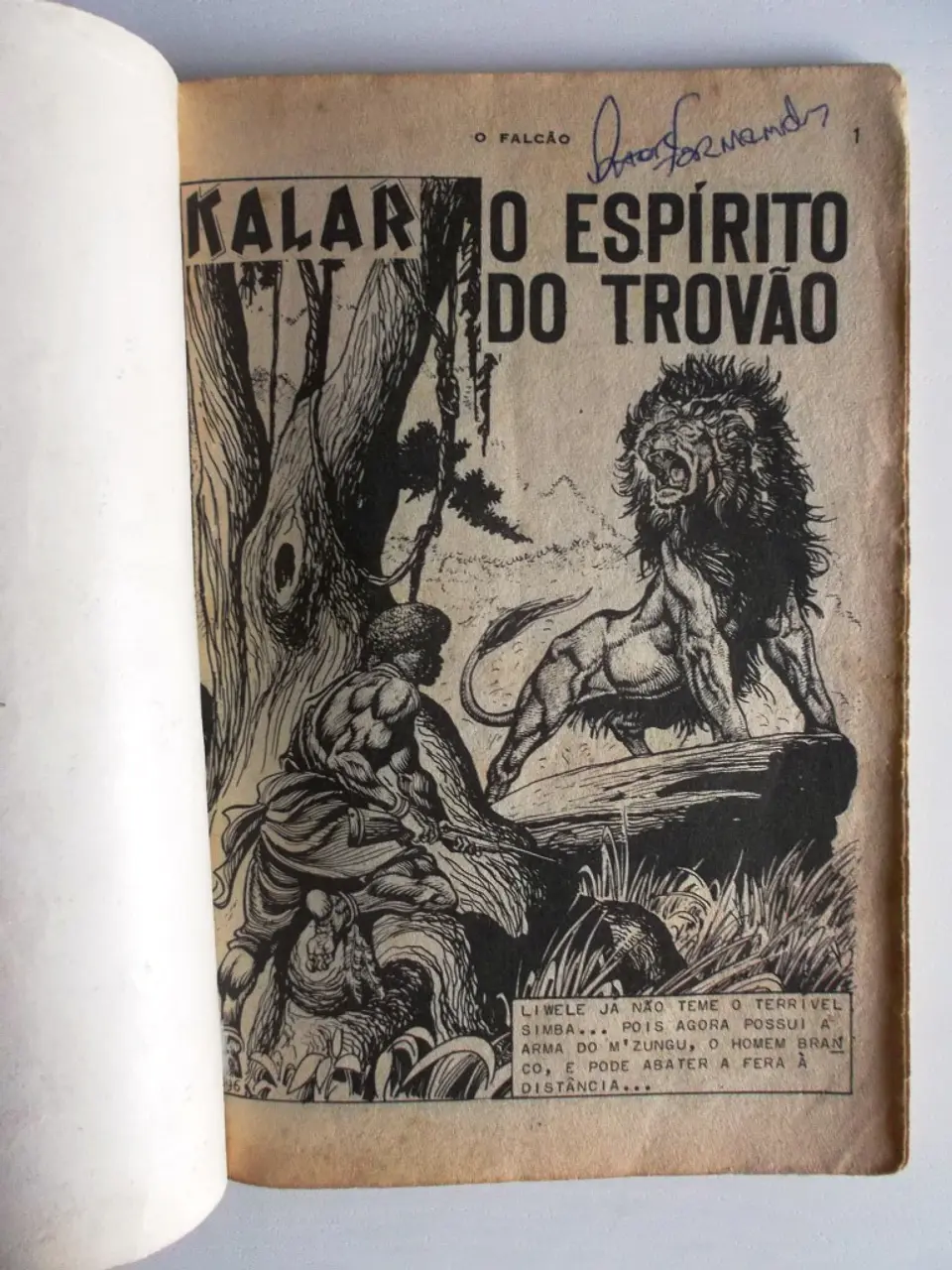O Falcão 0603 - Kalar 4
