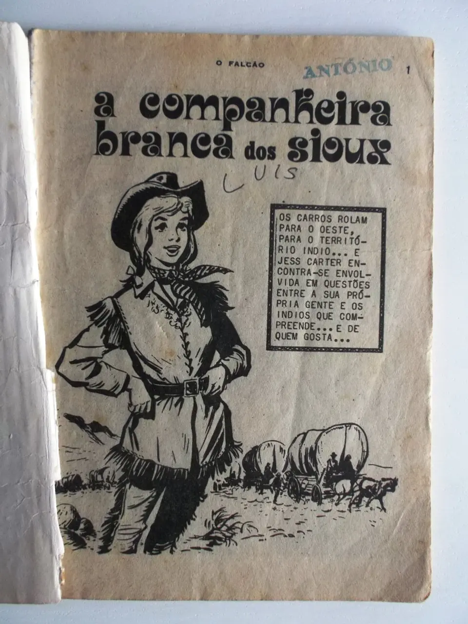 O Falcão 0601 4