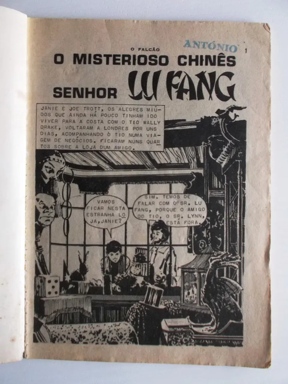 O Falcão 0596 4