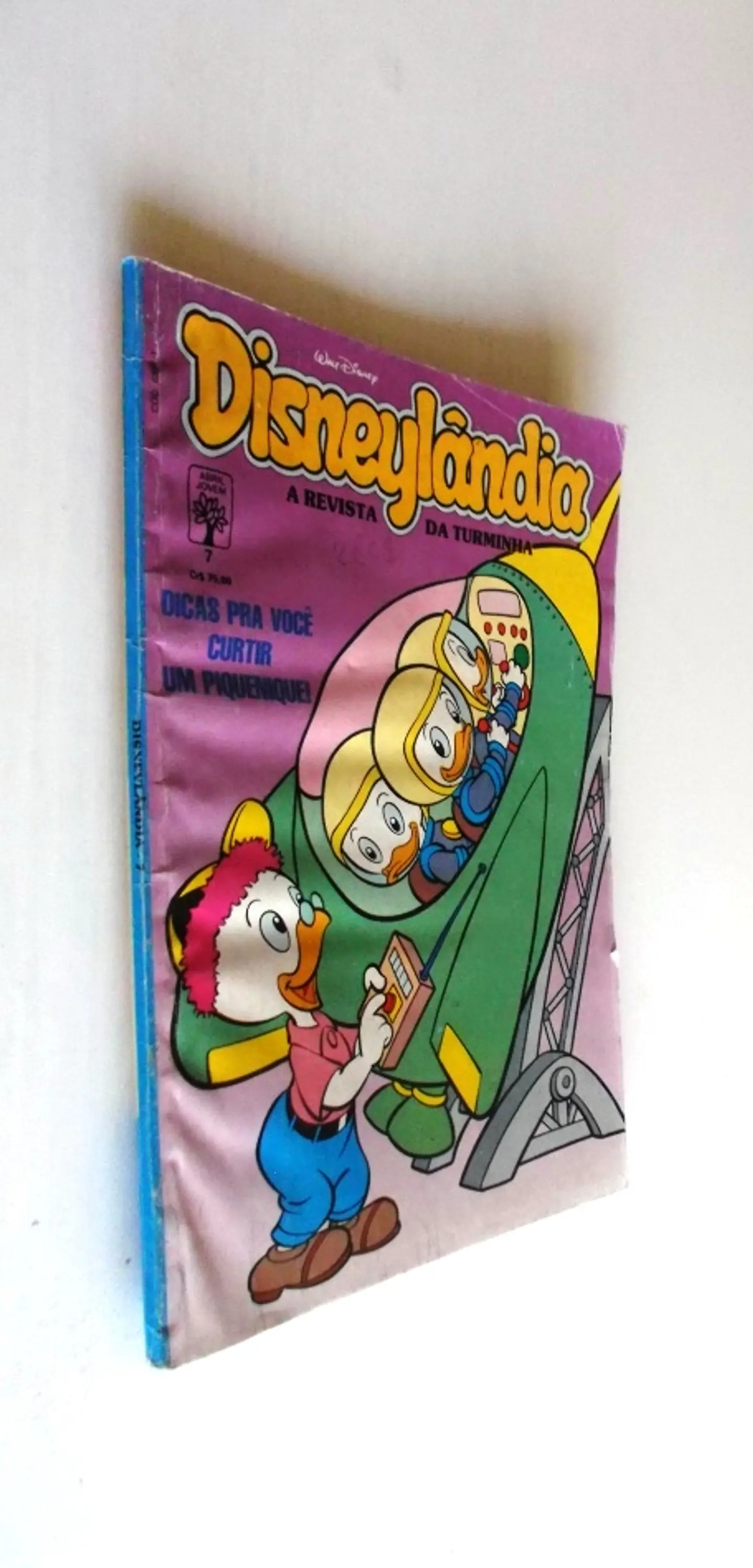 Disneylândia 07 3