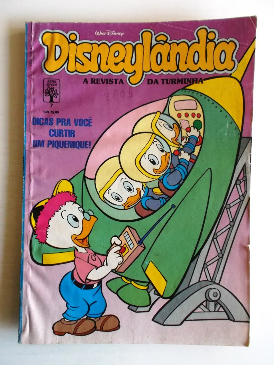 Disneylândia 07 1